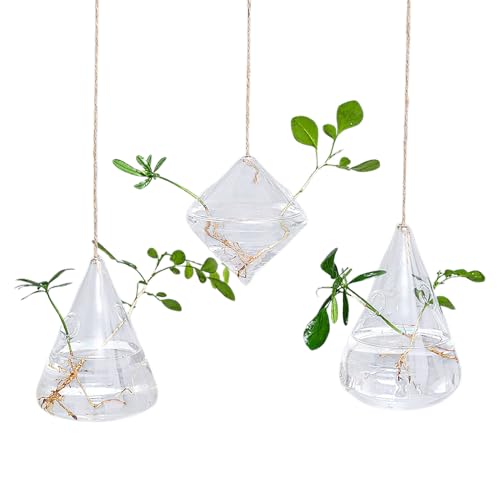 MINGZHE 3 Stück Pflanzen-Terrarien-Behälter, Hängende Glas-Pflanzgefäße für Zimmerpflanzen, Hydrokultur-Pflanzenvase, Pflanzenvermehrungsstation-Vasen für Wandbehang, Fenster, von MINGZHE