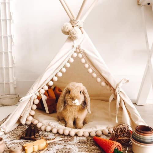 MINICAMP Kaninchen-Versteck - Gemütliches Hundebett für kleine Hunde - Stilvolles Katzen-Tipi -Niedliches Zelt für Kaninchen, Welpen - Hergestellt aus 100% Baumwolle, hypoallergen -Haustierzubehör(XS) von MINICAMP