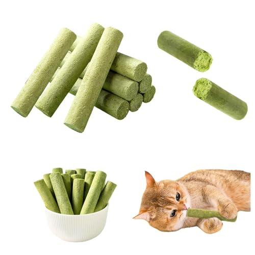 MINZHI 12 Stück katzengras Snacks Katze,Katzenminz Gras Snacks,Katzen Sticks katzengras,Cat Grass Teething Sticks for Indoor Cats,Wird zum Entfernen von Haarballen, zum Reinigen der Zähne usw. von MINZHI