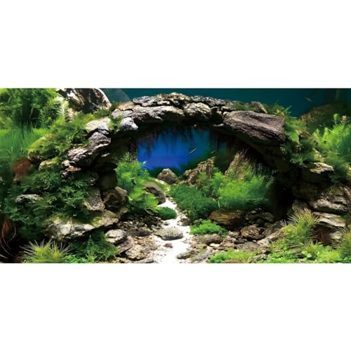 MIRRORANG 120x46cm Bogen Stein Aquarium Hintergrund Flussbett & See Aquarium Vinyl Hintergrund Wasserpflanze Aquarium Hintergrund von MIRRORANG