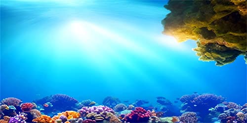 MIRRORANG 120x46cm Unterwasser Aquarium Hintergrund Sonnenschein Blau Meer Korallenriff Unterwasserwelt Aquarium Poster Hintergrund von MIRRORANG