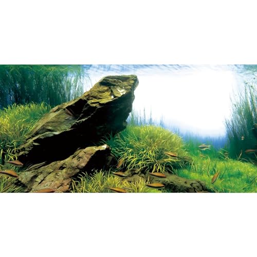 MIRRORANG 120x50cm Betrachtungsstein Aquarium Hintergrund Unterwasser Seetang Aquarium Hintergrund Flussbett & See Aquarium Hintergrund Vinyl Hintergrund von MIRRORANG