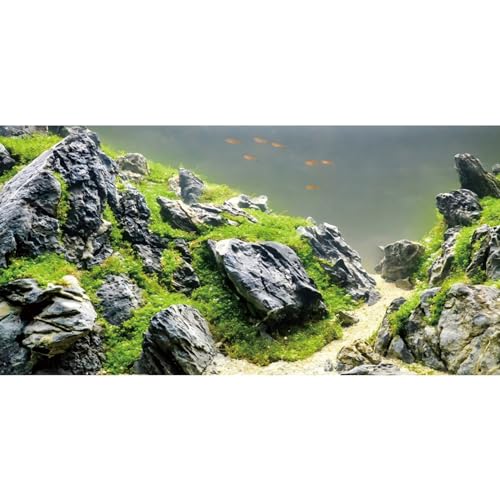 MIRRORANG 120x50cm Stein Berg Aquarium Hintergrund Felsen Fluss Bett & See Aquarium Vinyl Hintergrund Wasserpflanze Aquarium Hintergrund von MIRRORANG