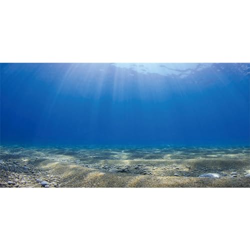 MIRRORANG 120x50cm Unterwasser Aquarium Hintergrund Sonnenschein Blau Ozean Sand Strand Terrarium Hintergrund Unterwasser Fisch Tank Hintergrund von MIRRORANG