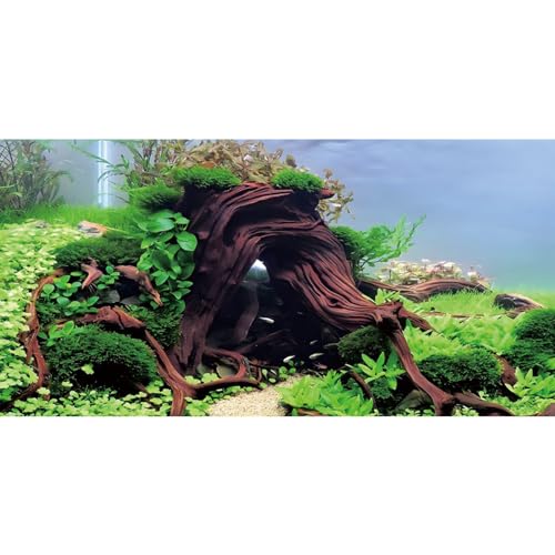 MIRRORANG 120x61cm Holz Aquarium Algen Aquarium Hintergrund Flussbett & See Aquarium Hintergrund Seegras Aquarium Vinyl Hintergrund von MIRRORANG