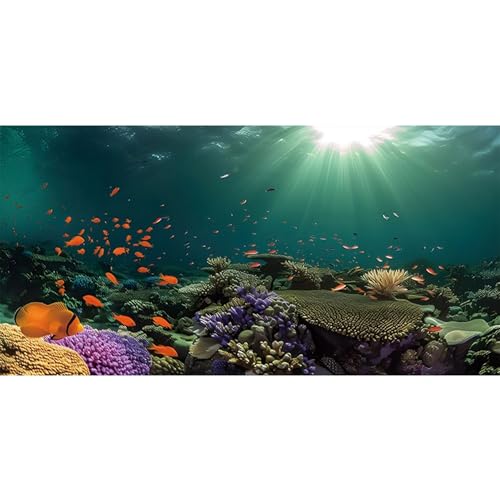 MIRRORANG 120x61cm Ozean Boden Aquarium Hintergrund Unterwasser Thema Aquarium Hintergrund Unterwasser Sonne Fisch Tank Hintergrund von MIRRORANG