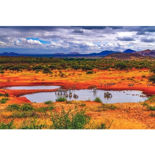 MIRRORANG 120x61cm Reptilien Lebensraum Hintergrund Orange Grasland Tiere Stream Terrarium Hintergrund Bartagame Vivarium Hintergrund von MIRRORANG