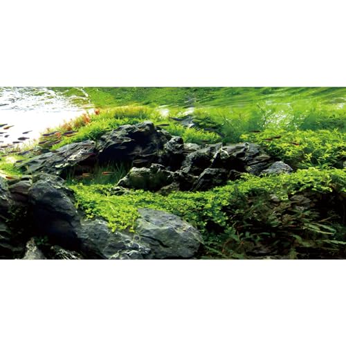 MIRRORANG 120x61cm Stein Aquarium Hintergrund Seegras Aquarium Hintergrund Wasserpflanze Flussbett & See Aquarium Hintergrund Vinyl Hintergrund von MIRRORANG