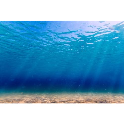 MIRRORANG 180x46cm Meeresboden Unterwasser Aquarium Hintergrund Sonnenschein durch Tiefsee Fisch Tank Hintergrund Unterwasserwelt Fisch Tank Hintergrund von MIRRORANG