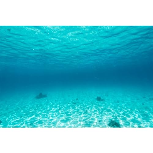 MIRRORANG 180x46cm Ozeanboden Unterwasser Aquarium Hintergrund Tiefsee Blau Zerrissenes Wasser Fisch Tank Hintergrund Unterwasserwelt Fisch Tank Hintergrund von MIRRORANG
