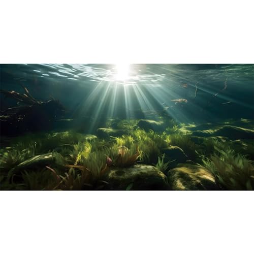 MIRRORANG 180x61cm Unterwasser Aquarium Hintergrund Wasserpflanze Sonne Terrarium Hintergrund Unterwasser Aquarium Hintergrund von MIRRORANG