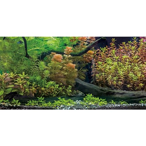 MIRRORANG 61x30cm Aquarium Hintergrund Blätter Aquarium Hintergrund Flussbett & See Aquarium Hintergrund Vinyl Hintergrund von MIRRORANG