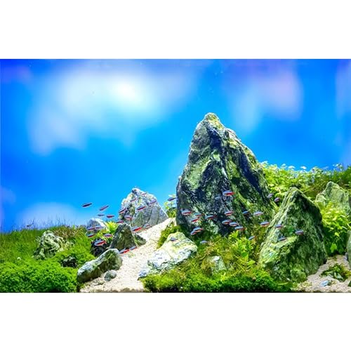 MIRRORANG 61x41cm Aquarium Hintergrund Wasserpflanze Steine Blauer Himmel Aquarium Unterwasser Hintergrund Flussbett & See Aquarium Hintergrund von MIRRORANG