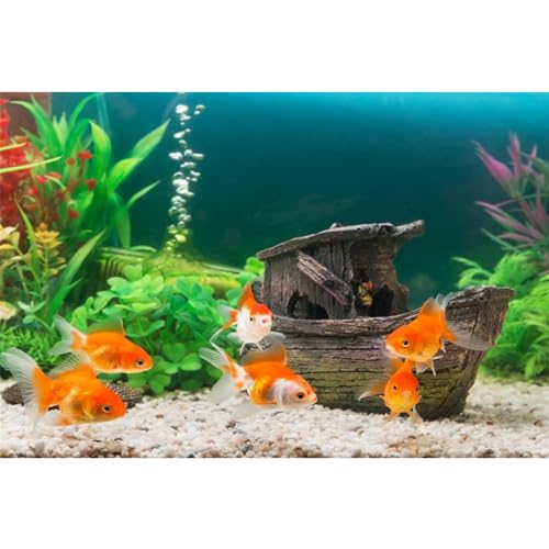 MIRRORANG 61x41cm Unterwasser Aquarium Hintergrund Wasserpflanze Aquarium Holz Schiff Hintergrund Flussbett & See Aquarium Hintergrund von MIRRORANG