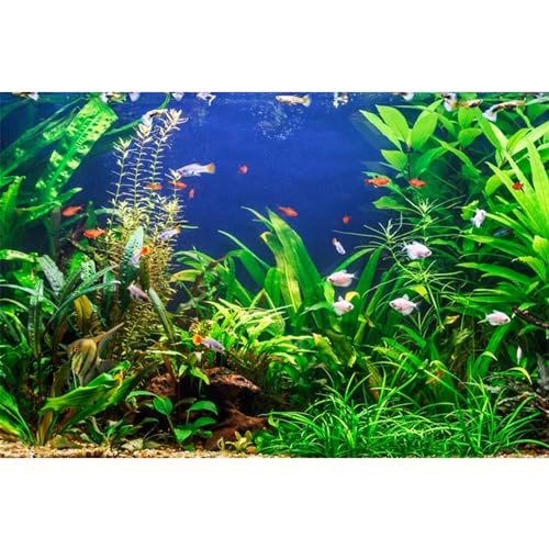 MIRRORANG 76x46cm Aquarium Hintergrund Wasserpflanze Meer Aquarium Unterwasser Hintergrund Flussbett & See Aquarium Hintergrund von MIRRORANG