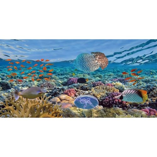 MIRRORANG 76x46cm Unterwasserwelt Aquarium Hintergrund Meeresboden Marine Aquarium Korallenriff Hintergrund Wasserpflanzen Aquarium Poster von MIRRORANG