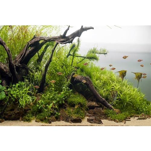 MIRRORANG 91x41cm Aquarium Hintergrund Wasserpflanze Holzzweige Aquarium Unterwasser Hintergrund Flussbett & See Aquarium Hintergrund von MIRRORANG