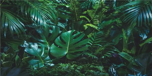 MIRRORANG 91x50cm Wald Reptilien Terrarium Aquarium Hintergrund Grün Tropische Palmenblätter Aquarium Hintergrund Bartagame Vivarium Hintergrund Vinyl von MIRRORANG