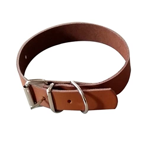 Kleines Welpenhalsband für kleine und mittelgroße Hunde, Haustierhalsband, Kuhhalsbänder, reines Braun, Haustierhalsband (Farbe: Braun, Größe: Medium) von MISETA