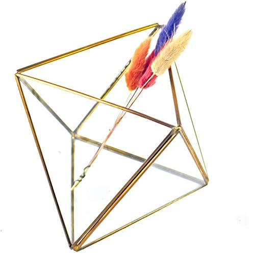 Schmuck-Aufbewahrungsbox Glas Terrarium Design Schmuckhalter klar facettiert Sukkulenten Luft Pflanze Pflanzkasten Topf Andenken Display (Farbe: Gold) von MISETA