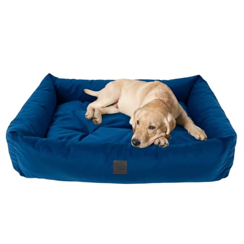 MISIOO Hundebett Kleine Hunde 120x80cm Blau - Waschbares und Bequemes Hundebett für Hunde - Komfortables und Pflegeleichtes Dog Bed für Kleine Haustiere - Ideal für den Täglichen Gebrauch Pet Zen von MISIOO