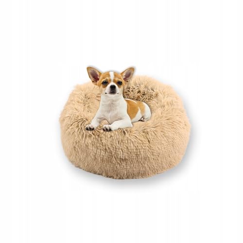 MISIOO Hundebett Kleine Hunde 50x50cm - Waschbares Hundebett für Kleine Hunde in Beige, Bequemes und Robustes Hundebett - Dog Bed für Kleinere Rassen von MISIOO