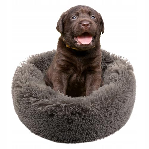 MISIOO Hundebett Kleine Hunde 50x50cm - Waschbares Hundebett für Kleine Hunde in Grau, Bequemes und Robustes Hundebett - Dog Bed für Kleinere Rassen von MISIOO