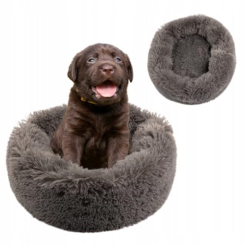 MISIOO Hundebett Kleine Hunde 70x70cm - Waschbares Hundebett für Kleine Hunde in Grau, Bequemes und Robustes Hundebett - Dog Bed für Kleinere Rassen von MISIOO