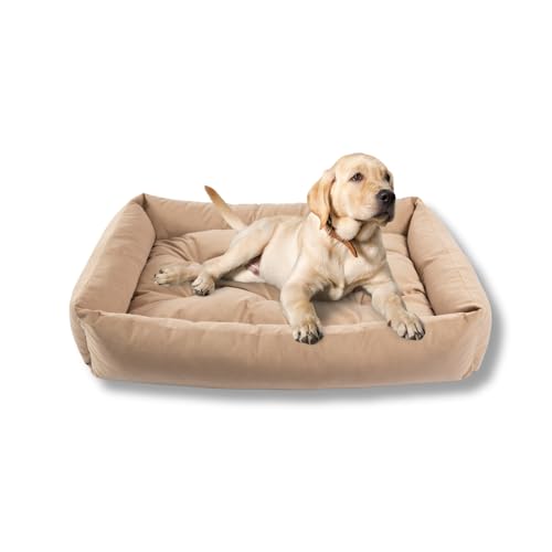 MISIOO Hundebett Kleine Hunde 75x55cm Beige - Waschbares und Bequemes Hundebett für Kleine Hunde - Robustes, Pflegeleichtes und Komfortables Dog Bed für den Täglichen Gebrauch Pet Zen von MISIOO