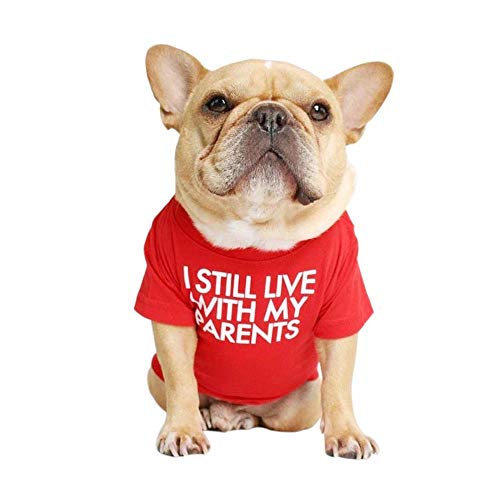 Französische Bulldogge Hunde-Shirt für Haustier-Kleidung, Welpen-T-Shirt, Katzen-T-Shirt, atmungsaktiv, dehnbar, Kostüm, Größe M von MISS PET