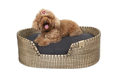 MISSLOTO Hundebett - Katzenbett - Bett für mittelgroße Hunde - Bett für mittelgroße Hunde - Bett für mittelgroße Hunde - Katzenbett - Hundebett - Hundebett - Orthopädisches Hundebett - Orthopädisches von MISSLOTO