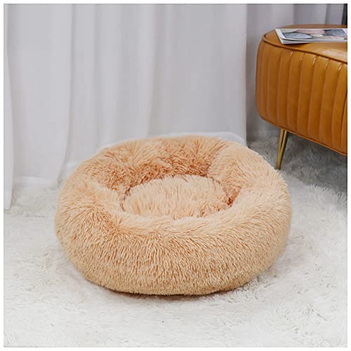 MISSMAO Deluxe-Haustierbett,für Katzen und Hunde, Hundebett Katzenbett Flauschig Rund aus Plüsch Donut Kuscheliges Hundekissen Hundekorb Waschbar,Aprikose,50cm von MISSMAO