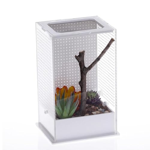 Futterbox, Kunststoff, Terrarium, transparente Behälter für Spinnen, Eidechsen, Frösche, Mantisen, tragbar, kleine Haustiere, S/L, Acryl-Lebensraum von MISUVRSE