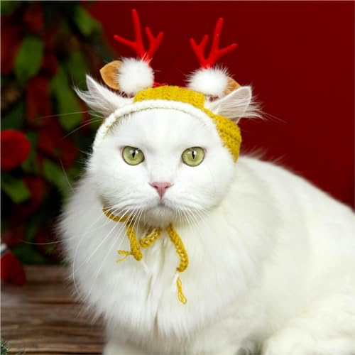 MITOCAPY Handgefertigte Katzen-Weihnachtsmütze und Hunde-Weihnachtsmannmütze, klassische Elchmütze, Strickwaren, verstellbare Passform, Rentier-Geweih, Grinch Hundegeweih, Rentier-Kostüm, von MITOCAPY