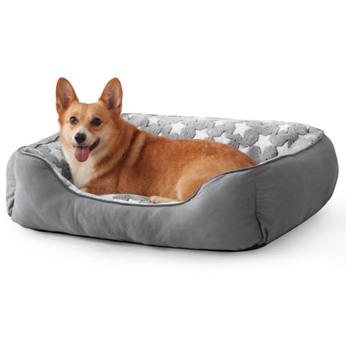 MIXJOY Großes Hundebett (76 x 61 cm), superweich, gemütlich, rechteckig, waschbar, ideal für Dobermann, Pinscher, Sheltie, Border Collie, australische Hütehunde von MIXJOY