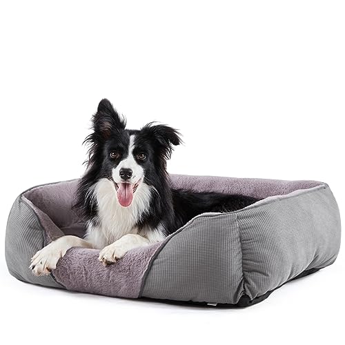 MIXJOY Hundebetten für große Hunde, großes Hundebett, waschbar, orthopädisch, beruhigend, weich, kuschelig, rechteckig, schlafendes Kaninchen, Samt, gemütliches Welpenbett mit rutschfester Unterseite von MIXJOY