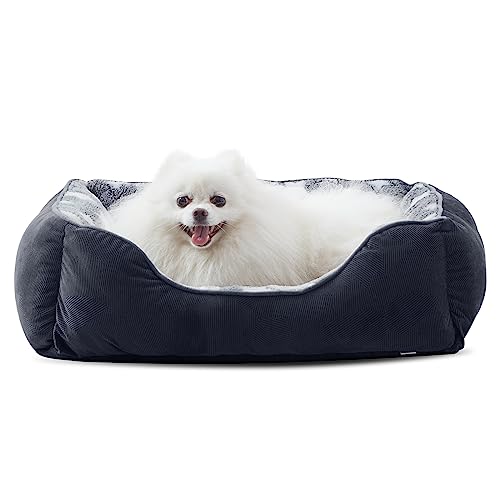 MIXJOY Kleines Hundebett (51 x 49 cm, superweiches, gemütliches, rechteckiges Hundebett, waschbar, ideal für Yorkshire, Chihuahua, Jack Russell Terrier, Bomei, Katze, Grau) von MIXJOY