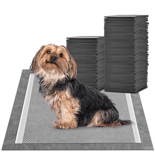 MIZOK Karbon-Hunde-Pee-Pads, 60 x 60 cm, 50 Stück von MIZOK