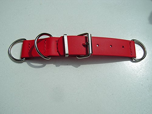 MJH BioThane Halsband Verschluss verstellbar 25mm breit in rot von MJH