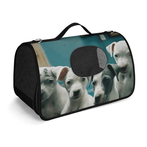 MKLYR Haustier-Tragetasche, Hund in der Badewanne, bedruckte Haustier-Funktions-Handtasche, atmungsaktives Netzgewebe, weiches Kissen, tragbare Tragetasche für Katzen und kleine Hunde, 45 x 26 x 23,5 von MKLYR