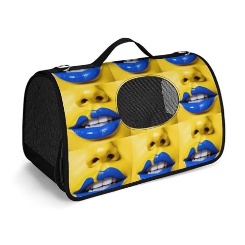 MKLYR Haustier-Tragetasche, blaue Lippen, Bilder, bedruckte Haustier-Funktions-Handtasche, atmungsaktives Netzgewebe, weiches Kissen, tragbare Tragetasche für Katzen und kleine Hunde, 45 x 26 x 23,5 von MKLYR