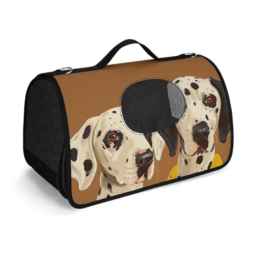 MKLYR Tragetasche für zwei Hunde, die Kleidung tragen, bedruckte Haustierfunktion, atmungsaktives Netzgewebe, weiches Kissen, tragbare Tragetasche für Katzen und kleine Hunde, 45 x 26 x 23,5 cm von MKLYR