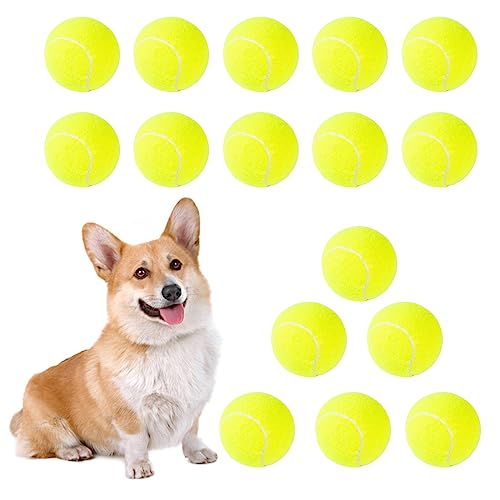 MKSY 16 Stück 5,1 cm Hunde-Tennisbälle, Mini-Haustier-Tennisbälle, Welpenbälle, Hundespielzeug, Bälle, Kauspielzeug für kleine, mittelgroße Hunde, einfaches Fangen, Training von MKSY