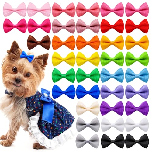 MLWSKERTY 50pcs Haustier Haarclip Farbenfrohe Schöne Leicht Zu Tragen Barrettes Für Tierbesitzer Urlaub Dressing Hunde Katzen Foto Haarbögen von MLWSKERTY