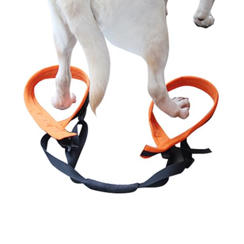 Rückengurt für Haustiere, Rehabilitationsgurt, Balance-Geschirr für Hinterbeine, behinderte ältere Hunde von MLWSKERTY