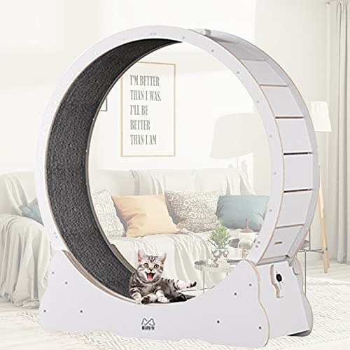 Cat Running Wheel Cat Wheel, Cat Toys, Kitten Toys, Indoor Cat Toys CAT Exercise Wheel Verriegelungsmechanismus, TPE leise und geräuschlose Rollen,L-White von MLYYYDSS