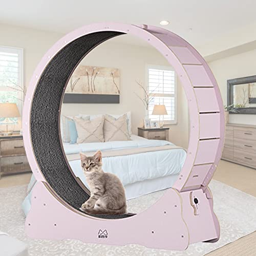 Cat Running Wheel Cat Wheel, Cat Toys, Kitten Toys, Indoor Cat Toys CAT Exercise Wheel Verriegelungsmechanismus, TPE leise und geräuschlose Rollen,XL-Pink von MLYYYDSS