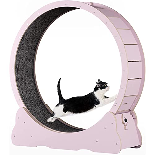 Katzenrad-Trainingsgerät für Indoor-Katzen, Laufrad, Laufband für Katzen mit austauschbaren Griffpolstern, Verriegelungsmechanismus, TPE, leise und geräuschlose Rollen, M-Pink von MLYYYDSS