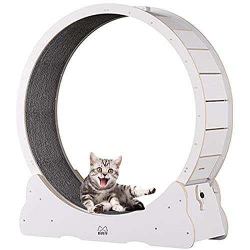 Katzenrad-Trainingsgerät für Indoor-Katzen, Laufrad, Laufband für Katzen mit austauschbaren Griffpolstern, Verriegelungsmechanismus, leise und geräuschlose TPE-Rollen, XL-Weiß von MLYYYDSS