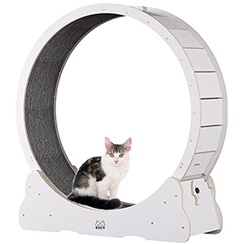 Laufrad für Katzen – Lauf-, Spinn- und Kratzspaß, Laufband für Katzen mit Teppichboden, Katzensportspielzeug, ideal für körperliche Aktivität und zur Verringerung von Langeweile, XL-Weiß von MLYYYDSS